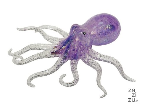 Gniotek ośmiornica Gniotek ośmiornica