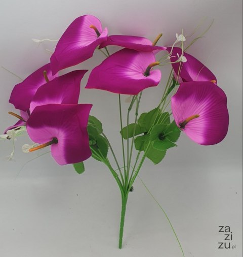 Bukiet kwiaty kalie 10 kwiatów fioletowe 40 cm Bukiet kwiaty kalie 10 kwiatów fioletowe 40 cm