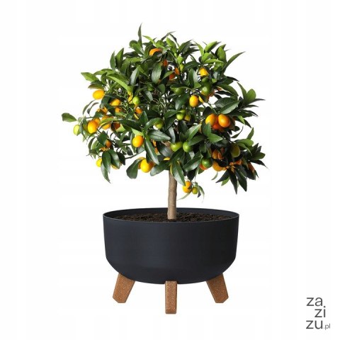 Doniczka Gracia Low antracytowy | DGRL240L Doniczka Gracia Low antracytowy | DGRL240L