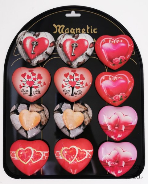 Magnesy 12szt. SERCA mix wz. | MG-9603 Magnesy 12szt. SERCA mix wz. | MG-9603