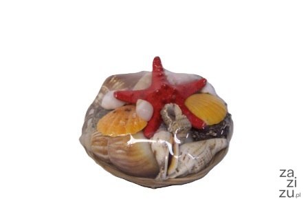 Muszla- kosz 10 cm Muszla- kosz 10 cm