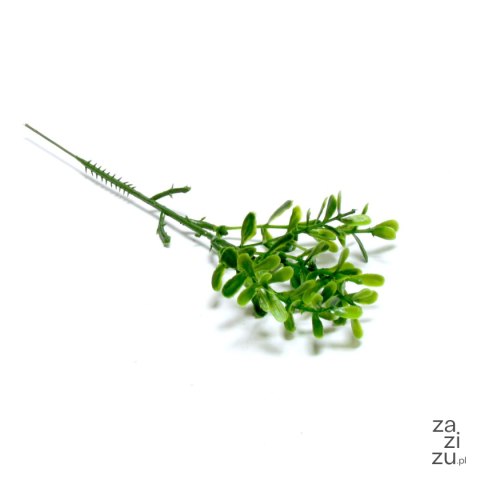 Gałązka 12szt bukszpanu 20cm Gałązka 12szt bukszpanu 20cm