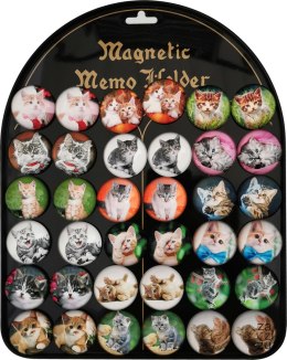 Magnes na tabliczce 36szt koty