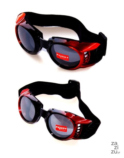 Gogle narciarskie | TS-17 Gogle narciarskie | TS-17