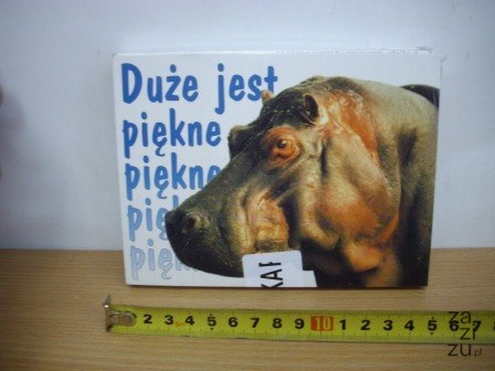 Pocztówki 100szt. Pocztówki 100szt.