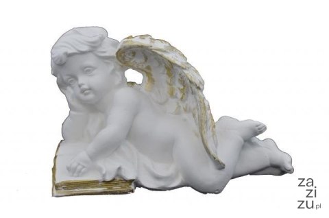 Anioł leżący na książce 12x18cm | A-10 7973 Anioł leżący na książce 12x18cm | A-10 7973