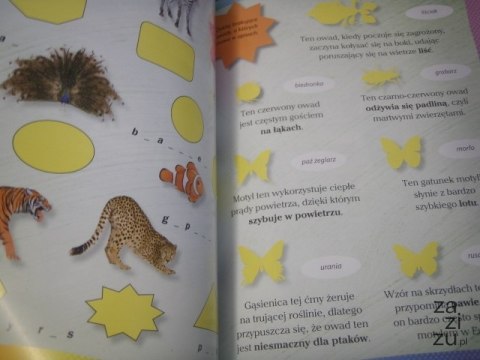 Książeczka Mały obserwator przyrody Klub przyrodnika Książeczka Mały obserwator przyrody Klub przyrodnika