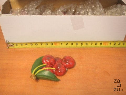 Magnes na lodówke WIŚNIA 10 szt. CERHM6867 Magnes na lodówke WIŚNIA 10 szt. CERHM6867