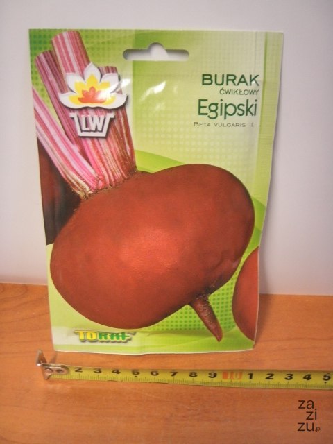 Nasiona 10g BURAK EGIPSKI TF1095 Nasiona 10g BURAK EGIPSKI TF1095