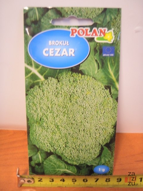 Nasiona 1g BROKUŁ CEZAR Nasiona 1g BROKUŁ CEZAR
