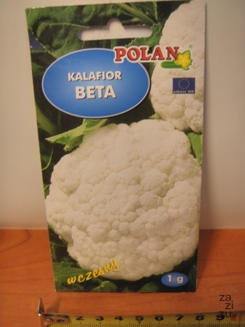Nasiona 1g KALAFIOR BETA PN3561 Nasiona 1g KALAFIOR BETA PN3561