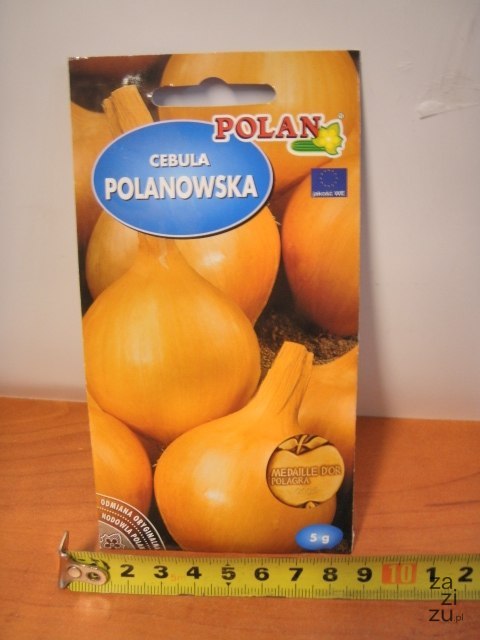 Nasiona 5g CEBULA POLANOWSKA PN3523 Nasiona 5g CEBULA POLANOWSKA PN3523