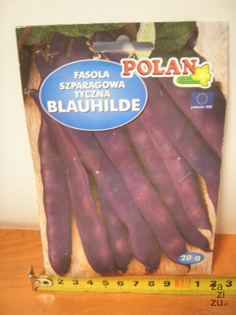 Nasiona FASOLA SZPARAGOWA TYCZNA BLAUHILDE 3646 Nasiona FASOLA SZPARAGOWA TYCZNA BLAUHILDE 3646