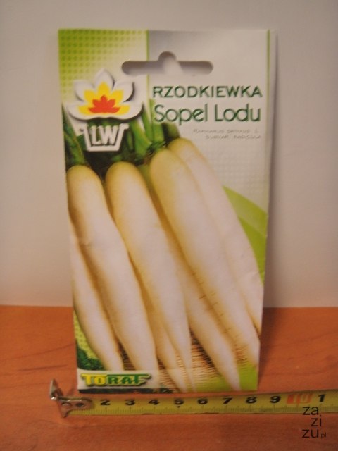 Nasiona RZODKIEWKA SOPEL LODU TF1147 Nasiona RZODKIEWKA SOPEL LODU TF1147