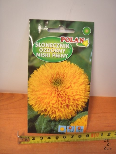 Nasiona SŁONECZNIK OZDOBNY NISKI PEŁNY PN3991 Nasiona SŁONECZNIK OZDOBNY NISKI PEŁNY PN3991