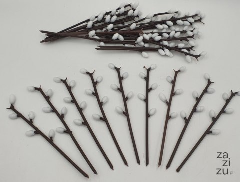 Bazie 15cm 30szt. | 499 Bazie 15cm 30szt. | 499