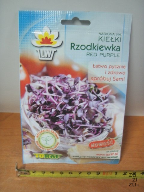 Kiełki 10g RZODKIEWKA RED PURPLE TF1475 Kiełki 10g RZODKIEWKA RED PURPLE TF1475