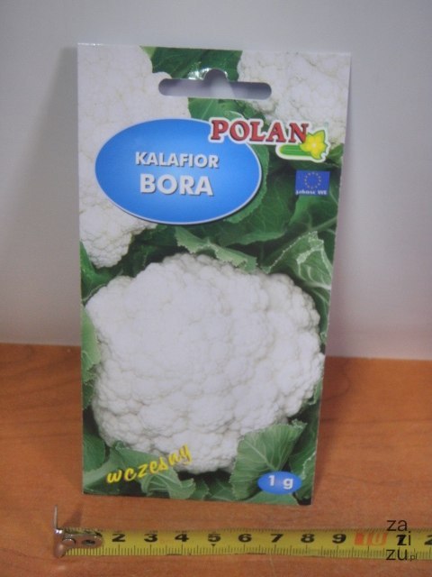 Nasiona KALAFIOR BORA 1g TF1591 Nasiona KALAFIOR BORA 1g TF1591