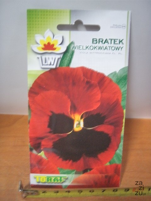 Nasiona bratek wielokwiatowy TF1995 Nasiona bratek wielokwiatowy TF1995