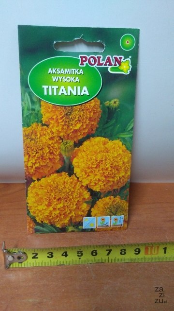 Nasiona AKSAMITKA TITANIA 2g Nasiona AKSAMITKA TITANIA 2g