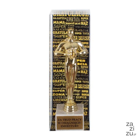 Statuetka 'Za rolę Super Mamy' Statuetka 'Za rolę Super Mamy'