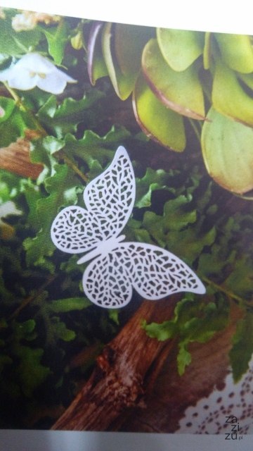Dekoracje papierowe Motyl 8x5cm 10szt. | ZPM1D Dekoracje papierowe Motyl 8x5cm 10szt. | ZPM1D