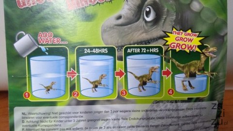 Dinozaur rosnący 620655 Dinozaur rosnący 620655