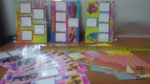 Plan lekcji 25szt mix samoprzylepny Plan lekcji 25szt mix samoprzylepny