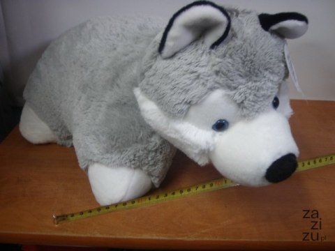 Poduszka na rzep PIES HUSKY DUŻA | P2472 Poduszka na rzep PIES HUSKY DUŻA | P2472