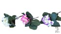 Bukiet HORTENSJA | BU03798