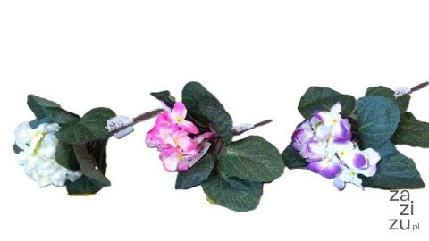 Bukiet HORTENSJA | BU03798 Bukiet HORTENSJA | BU03798