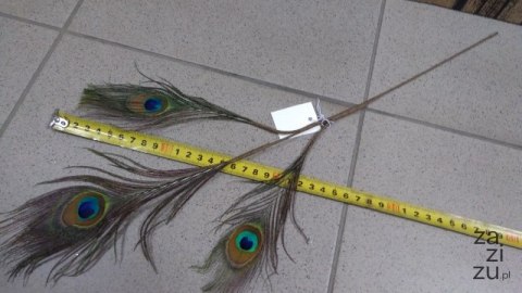Ozdobne pióro PAWIE 50cm CV10066 Ozdobne pióro PAWIE 50cm CV10066