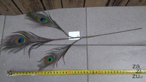 Ozdobne pióro PAWIE 50cm CV10066 Ozdobne pióro PAWIE 50cm CV10066