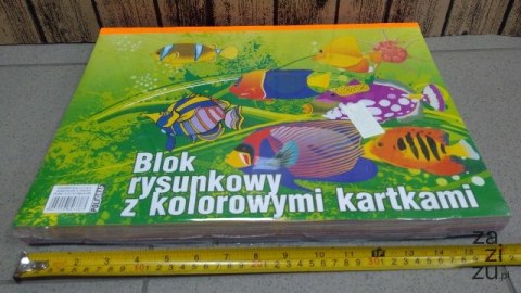 Blok rysunkowy 10szt. kolor A3/20K Blok rysunkowy 10szt. kolor A3/20K