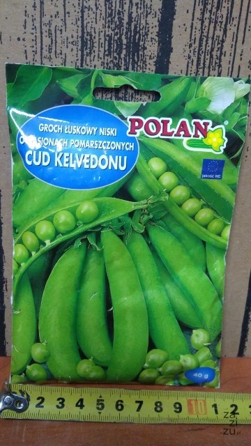 Groch łuskany niski 40g CUD KELVEDONU Groch łuskany niski 40g CUD KELVEDONU