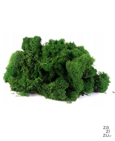 Mech ozdobny CHROBOTEK 500g Mech ozdobny CHROBOTEK 500g