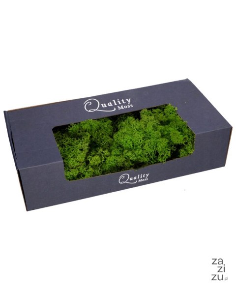 Mech ozdobny CHROBOTEK 500g Mech ozdobny CHROBOTEK 500g