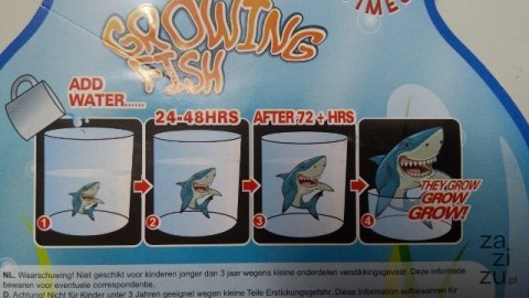 Rybki rosnące 3szt na blistzre 5cm 620654 Rybki rosnące 3szt na blistzre 5cm 620654