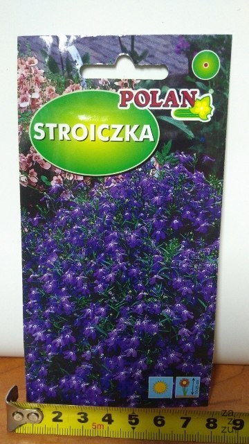 Nasiona 3g STROICZKA POLAN Nasiona 3g STROICZKA POLAN
