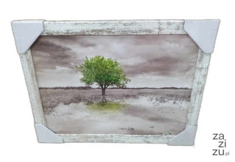 Obraz 30x40cm DRZEWO | ZD241 Obraz 30x40cm DRZEWO | ZD241