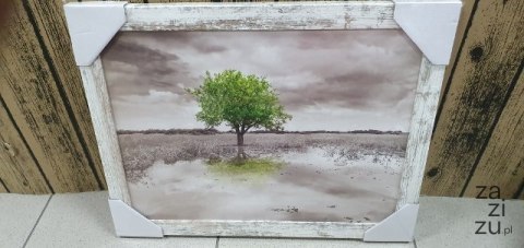 Obraz 30x40cm DRZEWO | ZD241 Obraz 30x40cm DRZEWO | ZD241