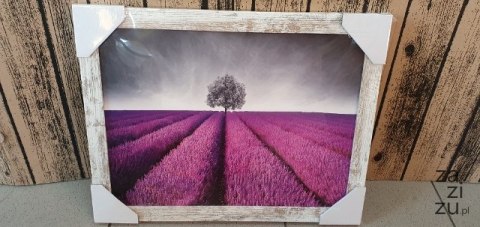 Obraz 30x40cm LAWENDOWE POLE Obraz 30x40cm LAWENDOWE POLE