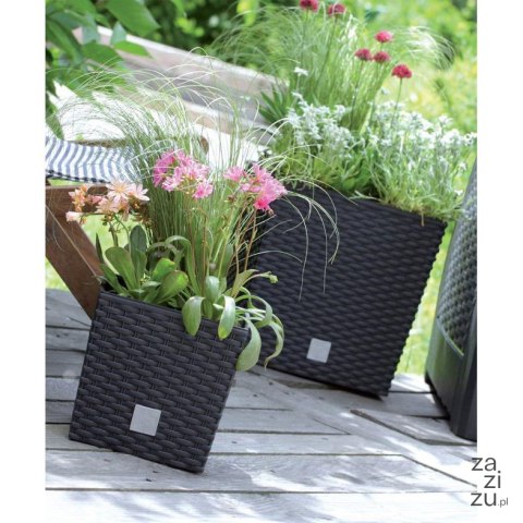 Donica RATO LOW 40x40x41cm Antracyt rattan+wkład Donica RATO LOW 40x40x41cm Antracyt rattan+wkład