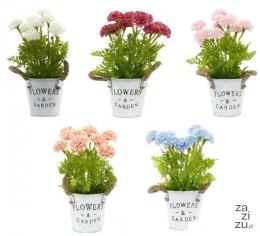 Kwiatki w doniczce FLOWERS & GARDEN 12x27cm