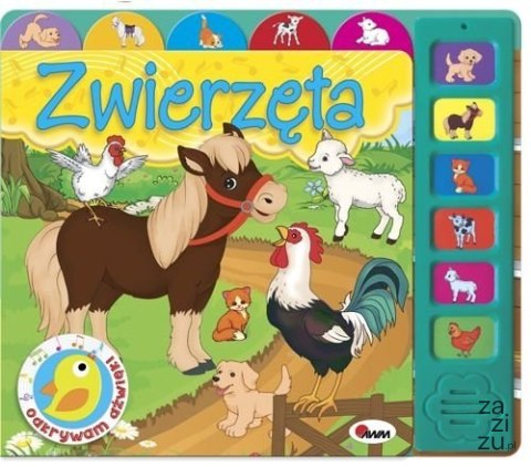 Książeczka odkrywam dźwięki zwierzęta Książeczka odkrywam dźwięki zwierzęta