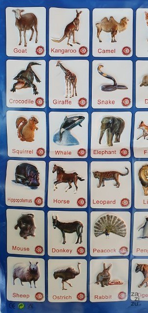 Mata edukacyjna na baterie - odgłosy zwierząt + j. angielski Mata edukacyjna na baterie - odgłosy zwierząt + j. angielski