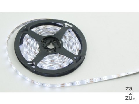 Taśma led 5m biała zimna 5m001w Taśma led 5m biała zimna 5m001w