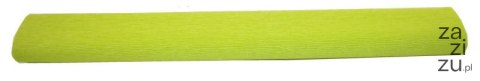 Bibuła krepina 200x50cm jasny zielony | nr 116 Bibuła krepina 200x50cm jasny zielony | nr 116
