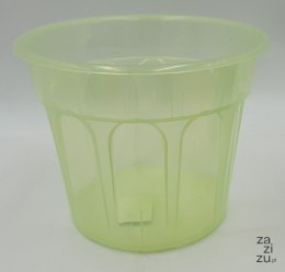 Osłonka 15cm CARO TRANSPARENTNA ZIELONA
