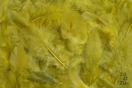 Pierze naturalne barwione oliwkowy 7-12cm 10g | HM0003_398